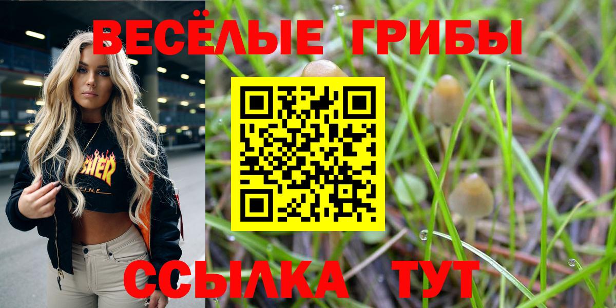 Галлюциногенные грибы Magic Shrooms Армавир