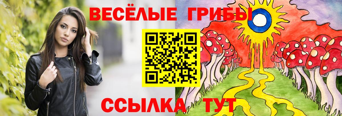 Армавир  Галлюциногенные грибы GOLDEN TEACHER  Вход с VPN 